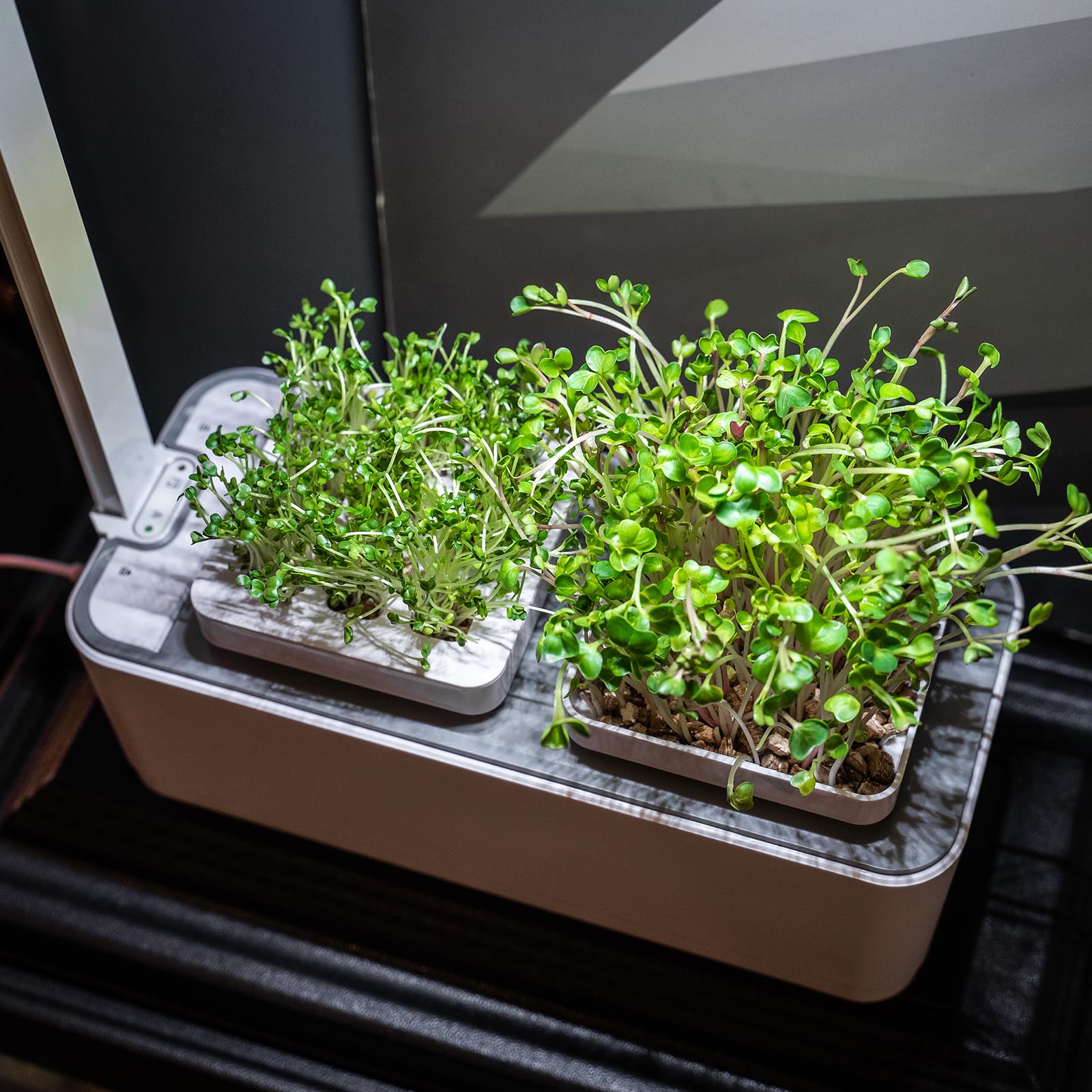 Купить Умный сад с подсветкой iGarden LED недорого в интернет-магазине ...