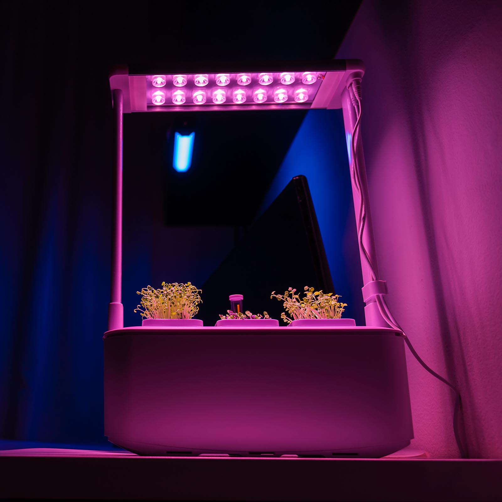 Купить Умный сад с подсветкой iGarden PRO недорого в интернет-магазине ...